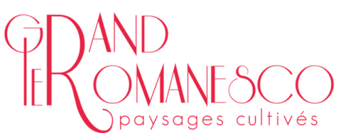 logo le grand romanesco programme accélération centsept